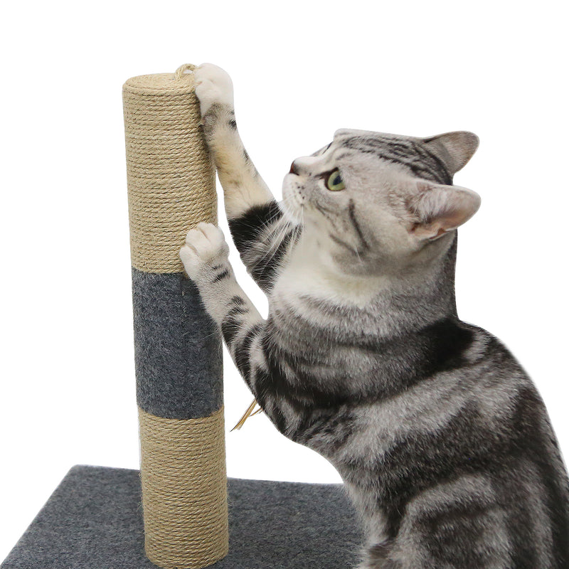 Meerveil Mini Cat Scratching Tree, Has Cat Toy with Feathers